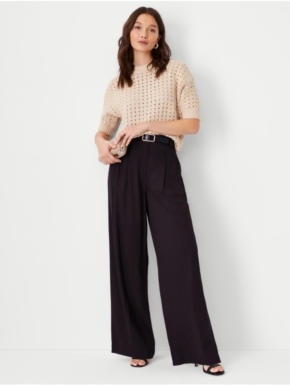 Ann Taylor - The Pleated Wide-Leg High-Rise Pants in Black Size 6 Classic Style